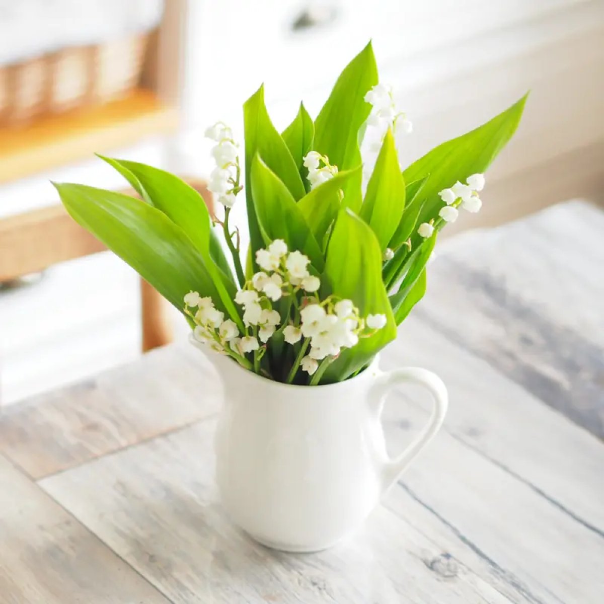 Lily of the Valley Fragrance