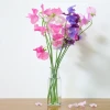 Sweet Pea Fragrance