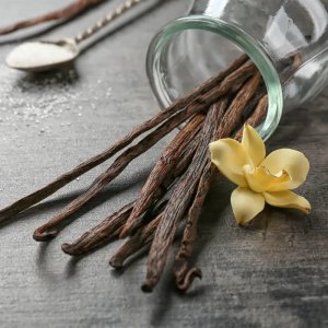 Vanilla Pod Fragrance