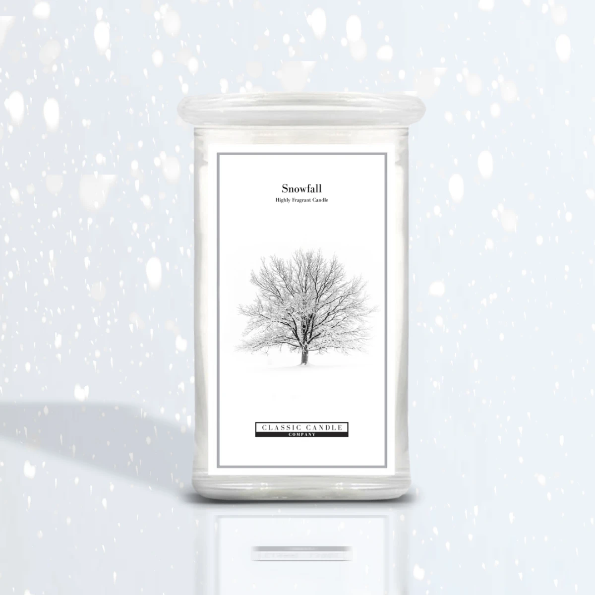 Snowfall