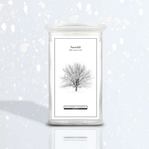 Snowfall