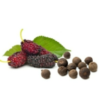 Mulberry Spice