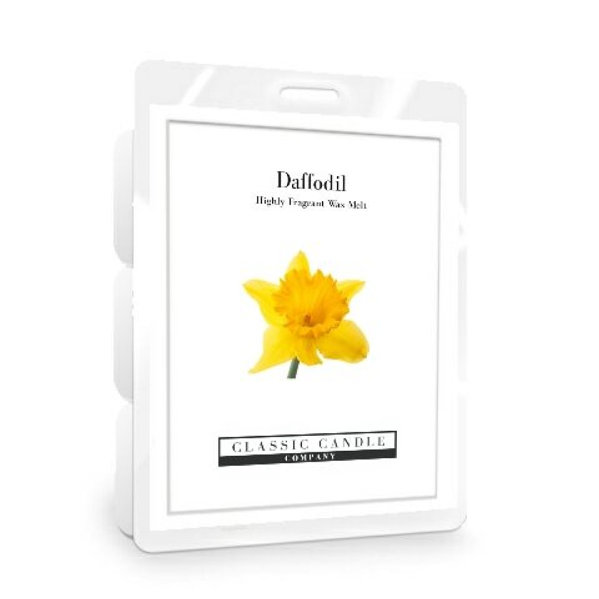 Daffodil