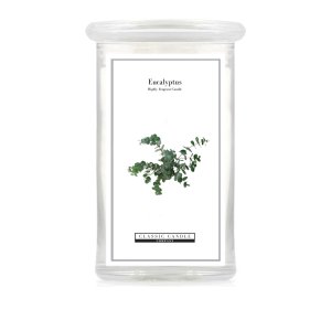 Eucalyptus 2 Wick Large Jar