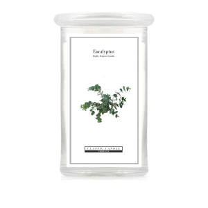 Eucalyptus 2 Wick Large Jar