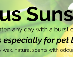 Pet Candles Citrus Sunshine Glass Tumbler
