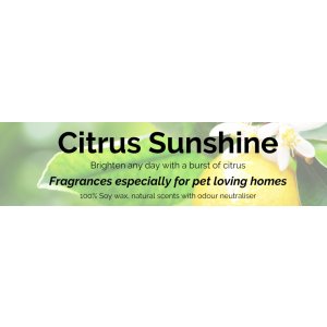 Citrus Sunshine