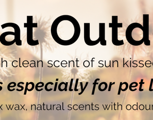 Pet Candles Great Outdoors Reed Diffuser