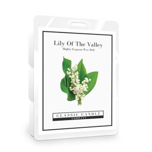 Lily of the Valley