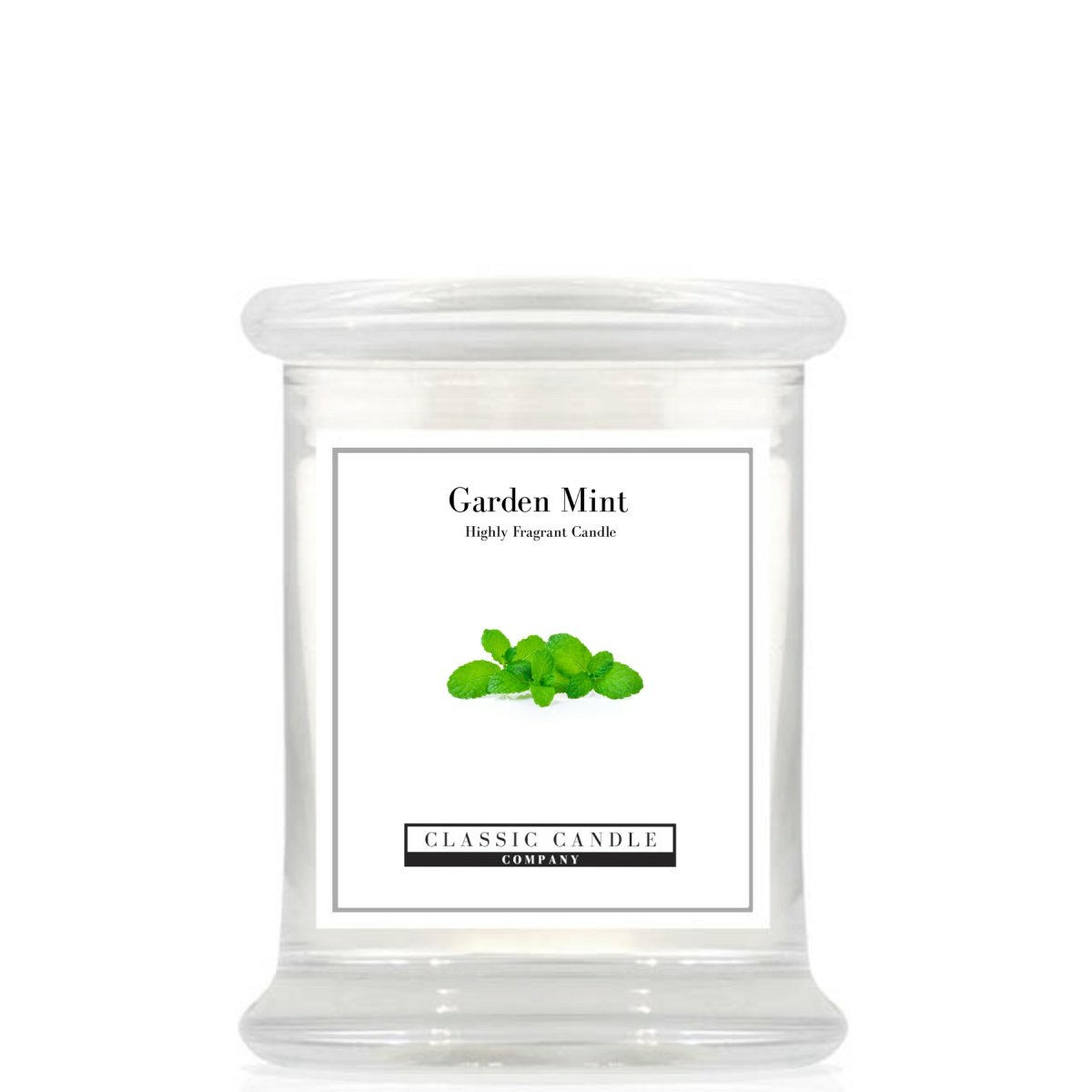 Garden Mint Medium Jar