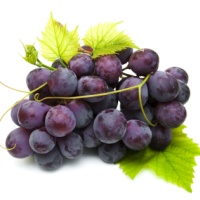 Fresh Grape