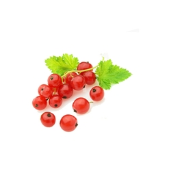 Redcurrant