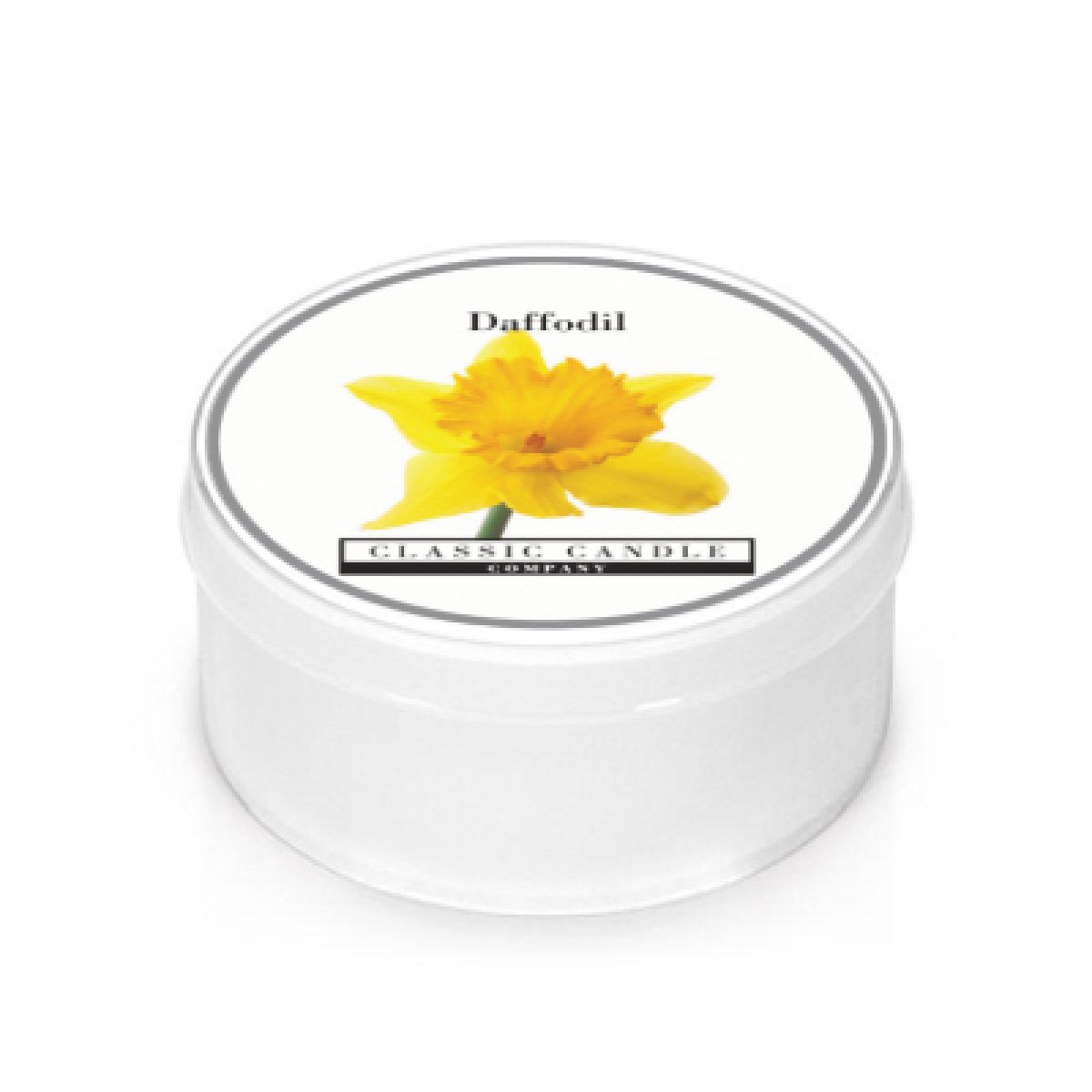 Daffodil MiniLight