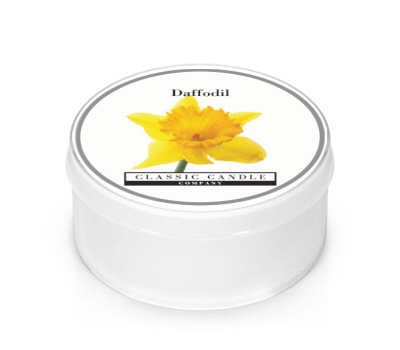 Daffodil MiniLight