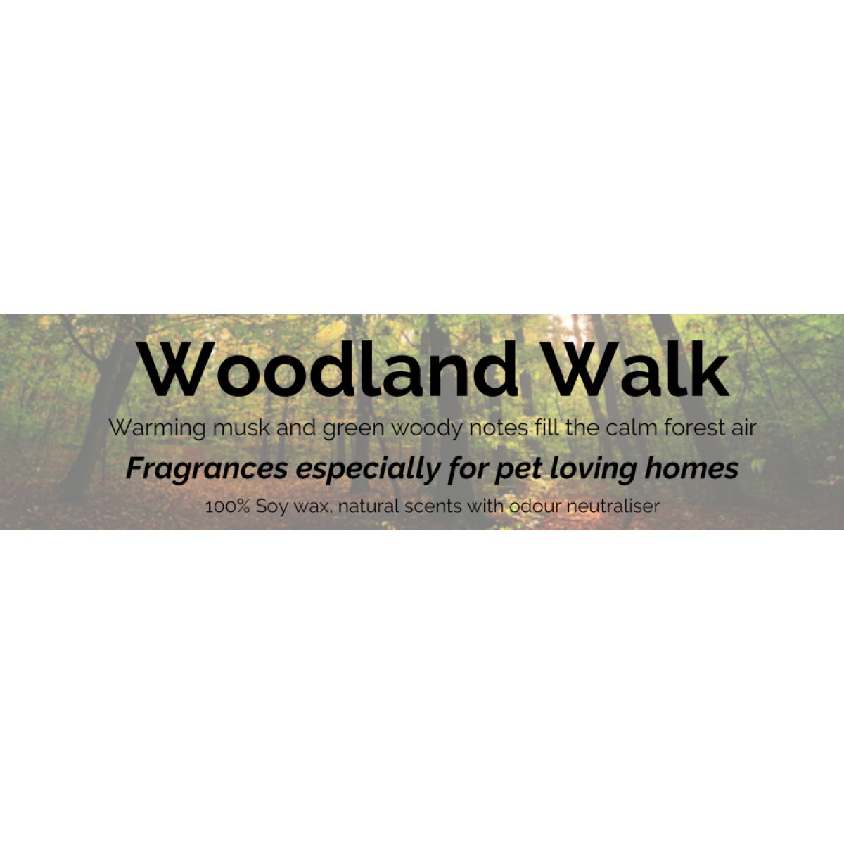 Woodland Walk