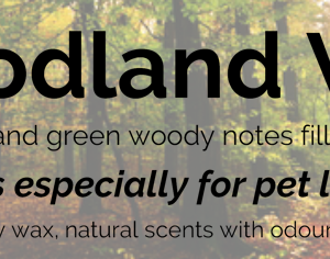 Pet Candles Woodland Walk Reed Diffuser