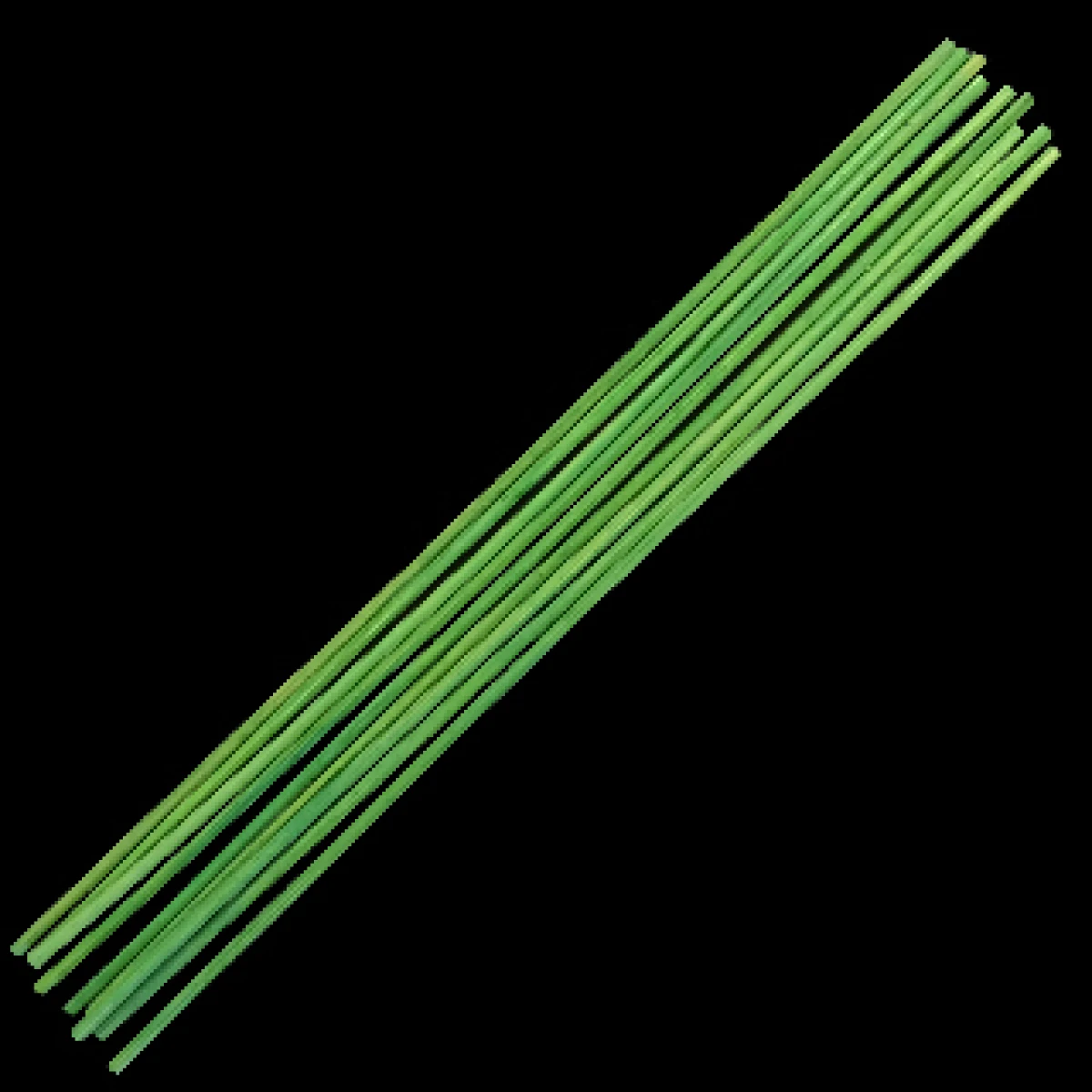 Green Reeds