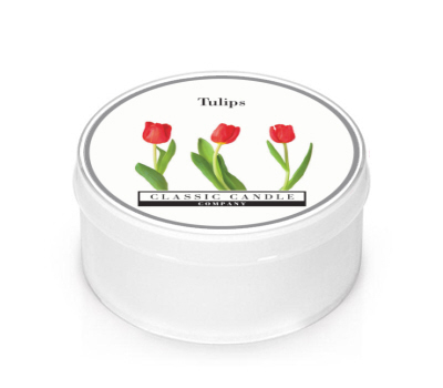 Tulips MiniLight