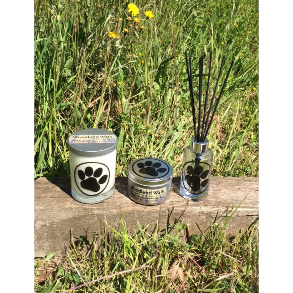 Woodland Walk Reed Diffuser