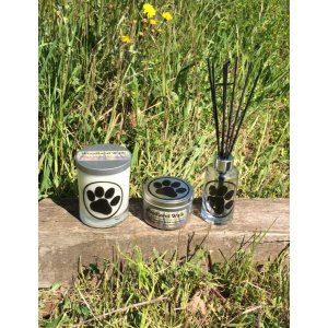 Woodland Walk Reed Diffuser