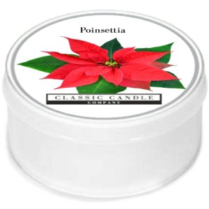 Poinsettia MiniLight