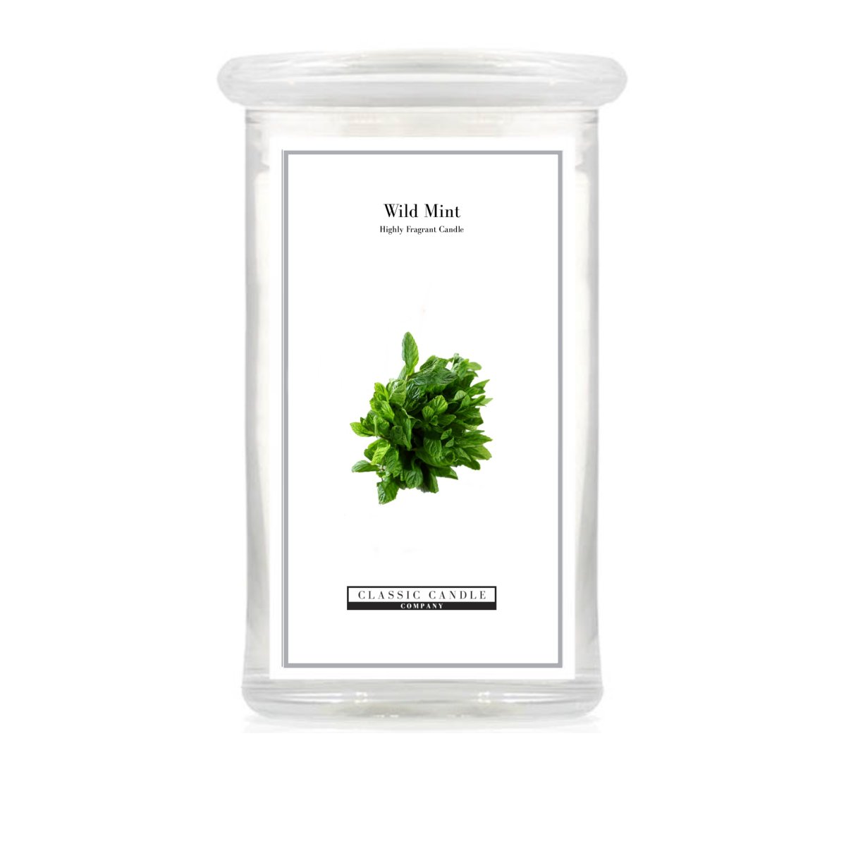 2022 Large Jar Wild Mint