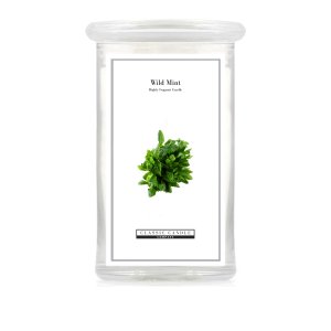 2022 Large Jar Wild Mint