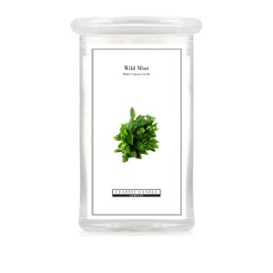 2022 Large Jar Wild Mint