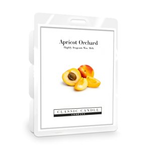 2022 Wax Melt Apricot Orchard