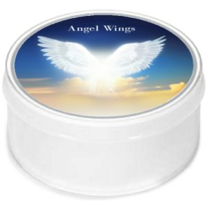 Angel Wings MiniLights