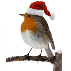Home for Christmas