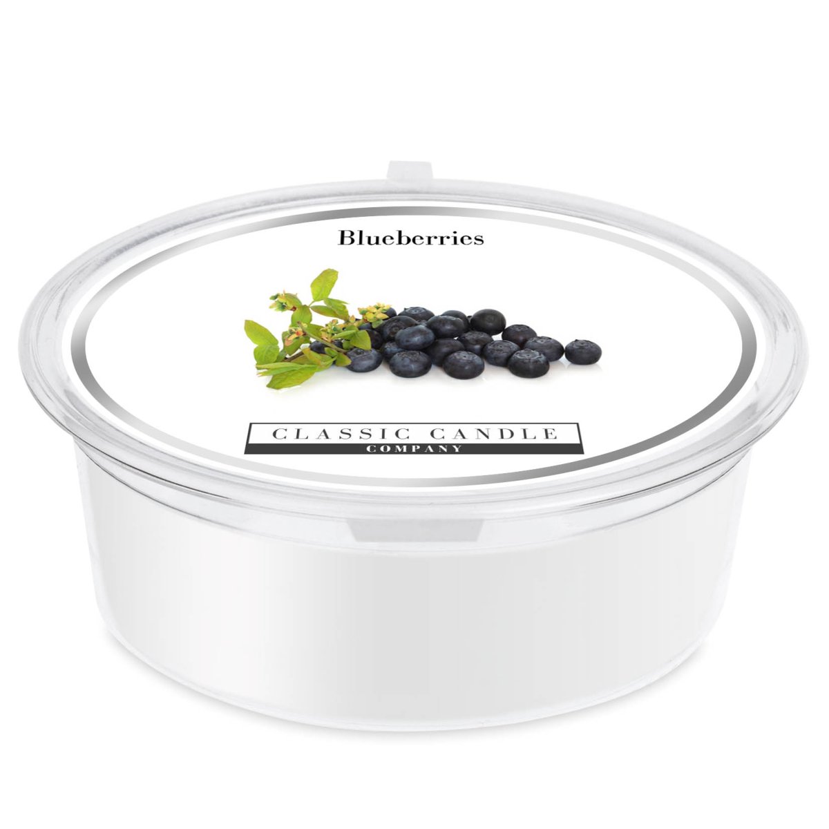 Blueberries Mini Pot