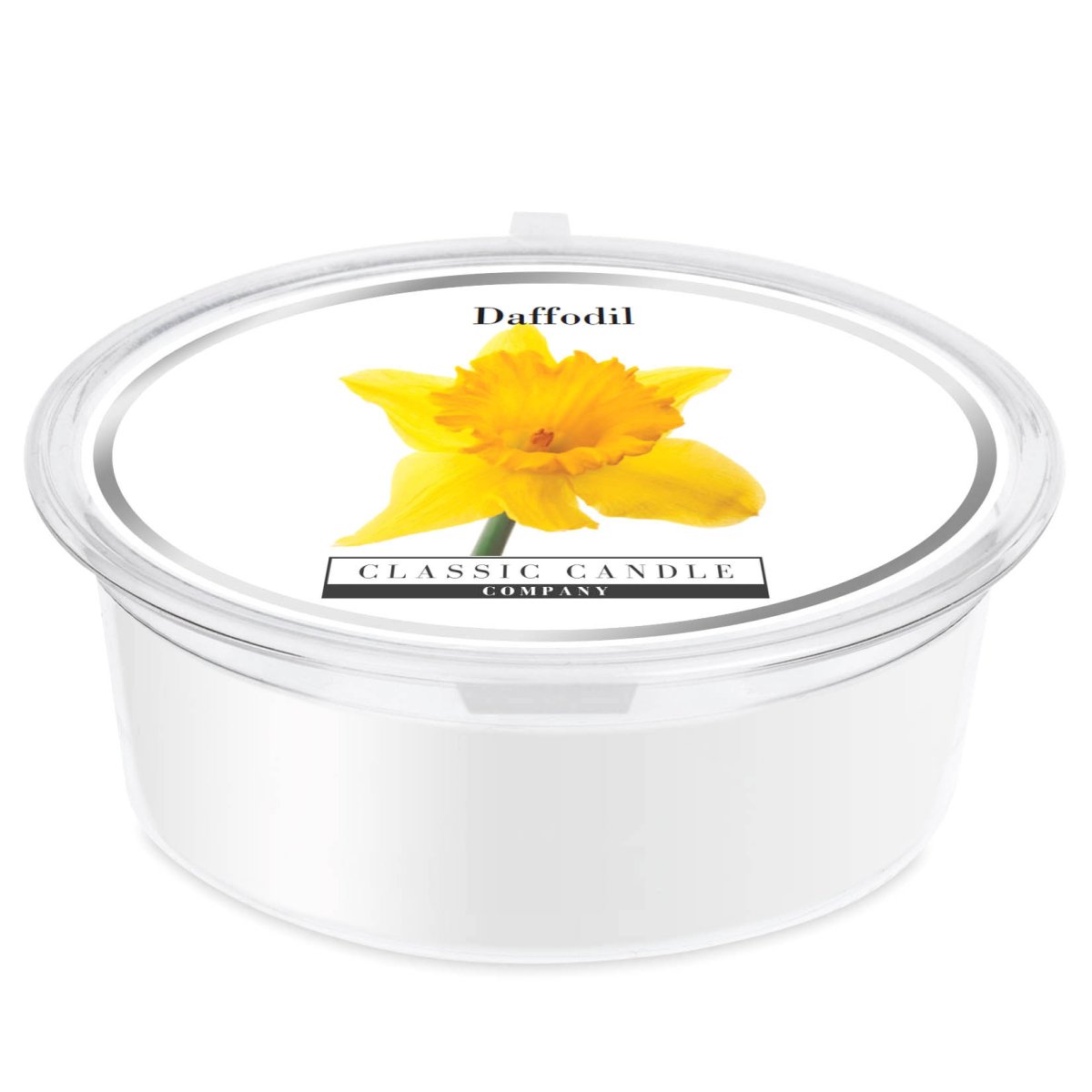 Daffodil Mini Pot