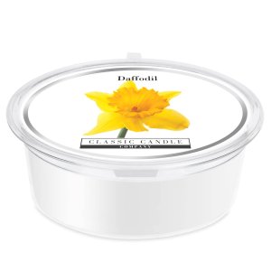 Daffodil Mini Pot