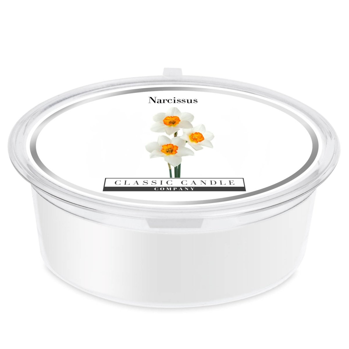 Narcissus Mini Pot