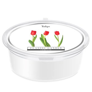Tulips Mini Pot