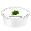 Wild Mint Mini Pot