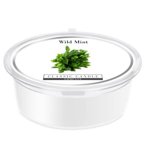 Wild Mint Mini Pot
