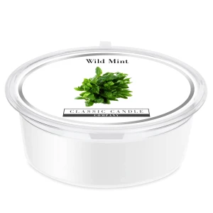 Wild Mint Mini Pot