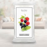 Single Wick Large Jar