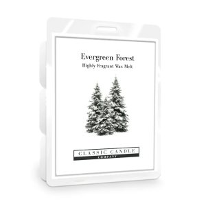 Evergreen Forest Wax Melt