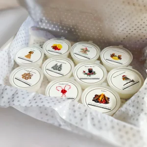 Festive MiniPot Wax Melts