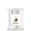 Fireside Medium Jar In Silver
