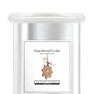 Gingerbread Cookie Medium Jar In Silver