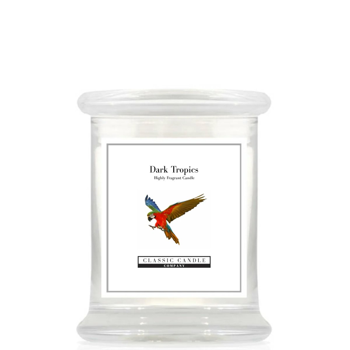 Dark Tropics Medium Jar