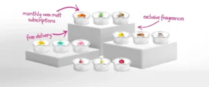 MiniPot Wax Melt Subscription Blog