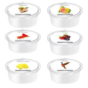 Juicy and Fruity MiniPot Wax Melts