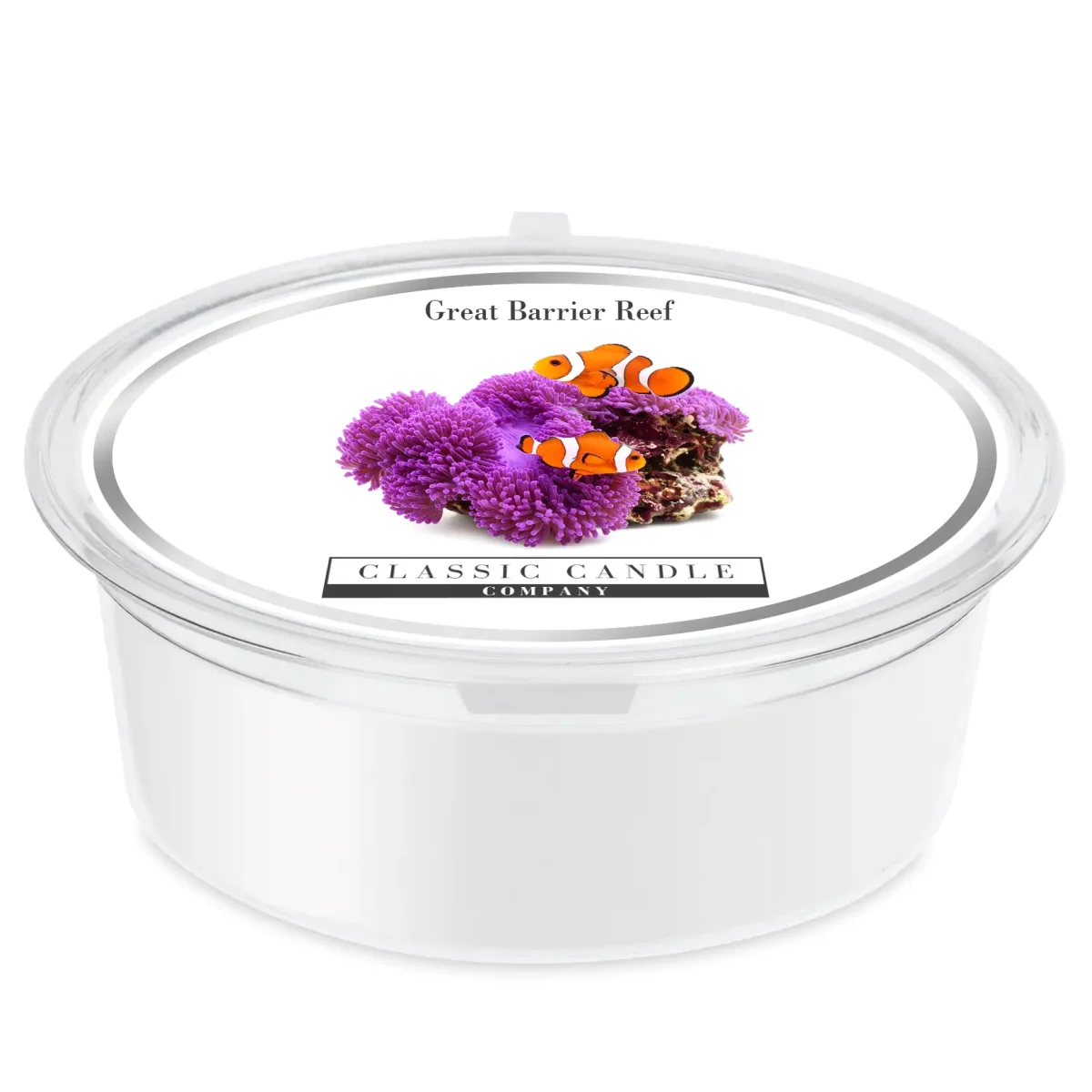 Great Barrier Reef Wax Melt