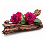 Classic Candle 8 Rose Oud