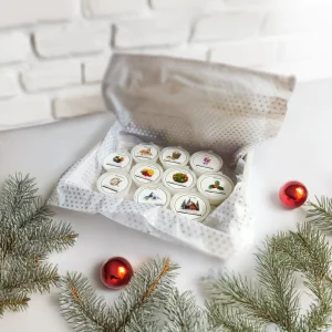 2025 Winter wax meltsminipot collection